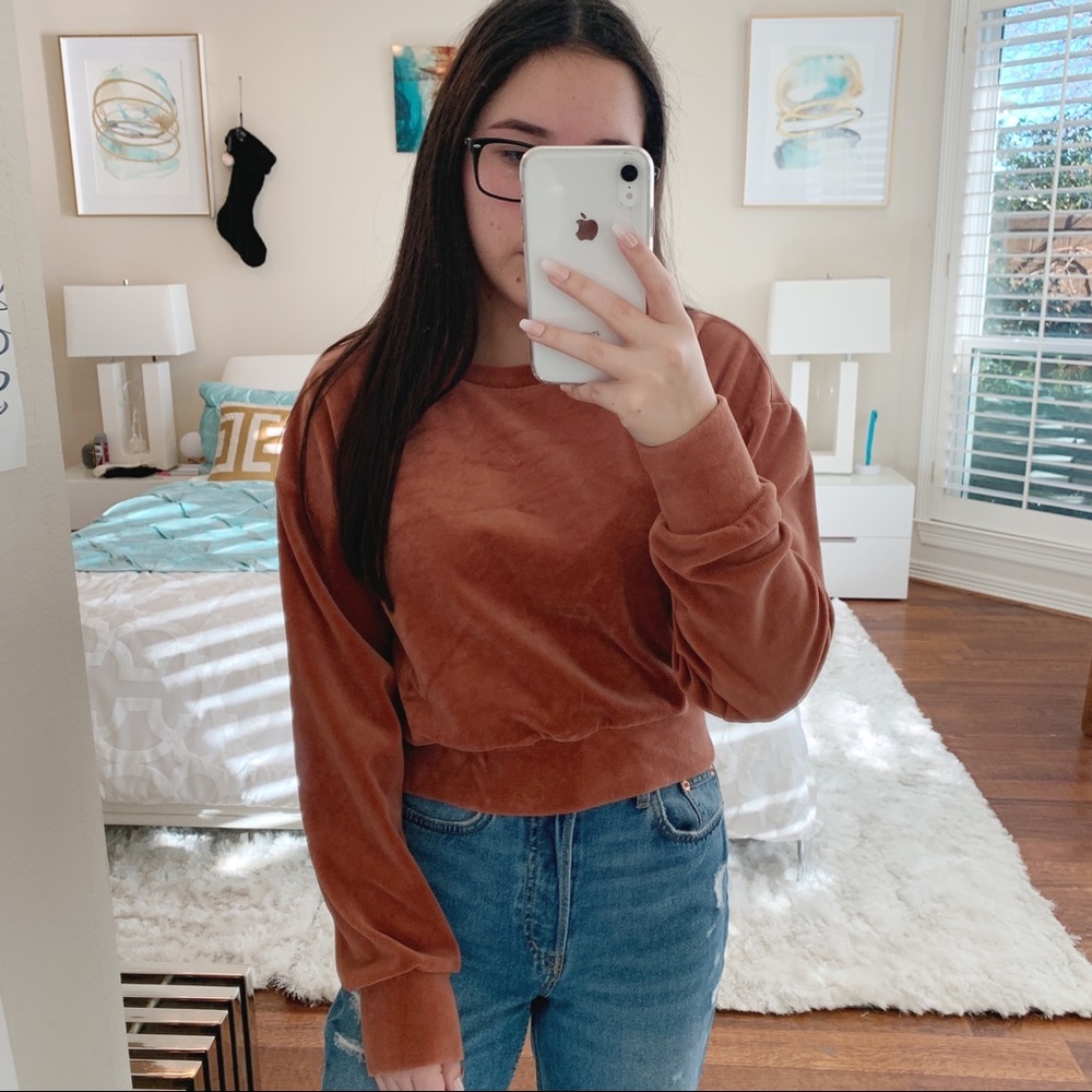 Brown Orange Cropped Velvet Sweater
